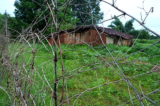 Lost In Silence: The Dark Journey Of Tribal Victims Of Madhya Pradesh